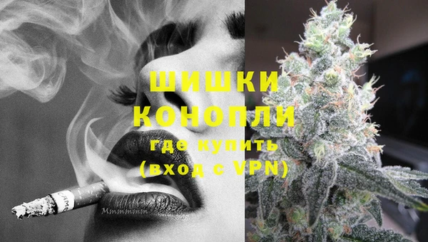 твердый Дмитриев