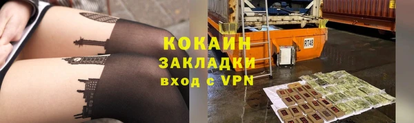 твердый Дмитриев
