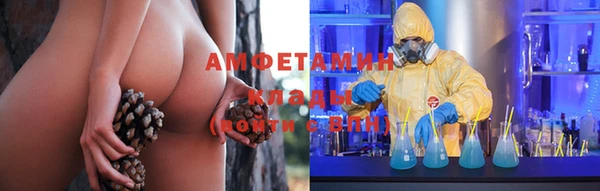 твердый Дмитриев