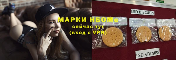 сатива Дмитровск
