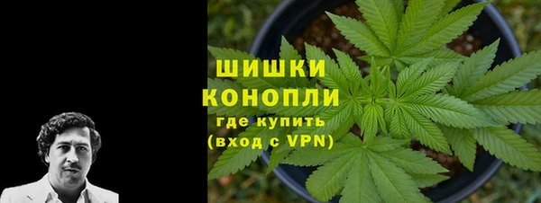 твердый Дмитриев