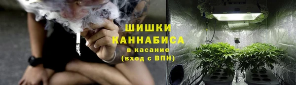 твердый Дмитриев