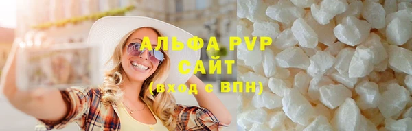 сатива Дмитровск