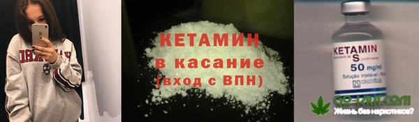 сатива Дмитровск