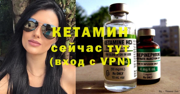 сатива Дмитровск
