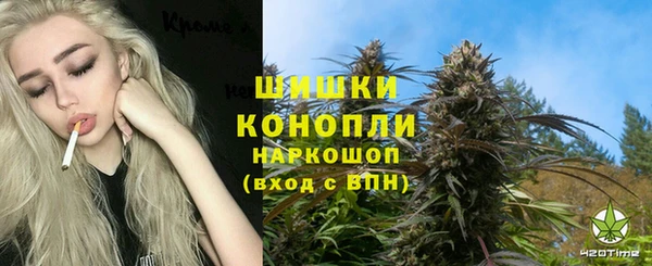 сатива Дмитровск