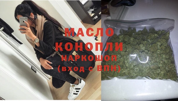 сатива Дмитровск